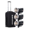 Elinchrom ELC Pro 3 x 1000w Kit Hire